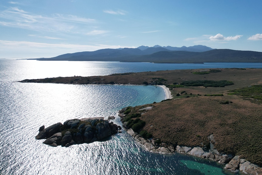 An aerial pictures of Little Dog Island in Bass Strait on a cloudless day.