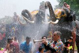 Man plays trumpet in foreground as elephants spray water in the background in a large crowd
