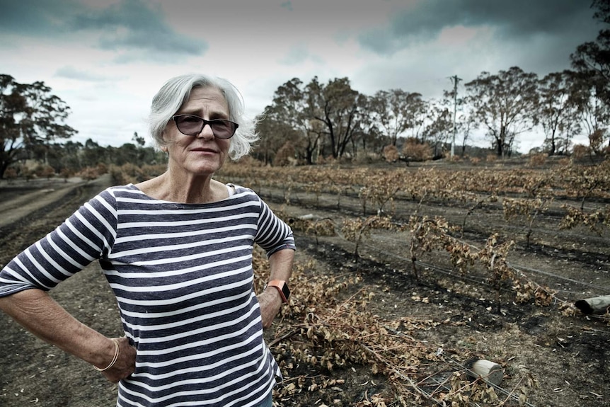 Woman in striped shirt beside burnt vineyard