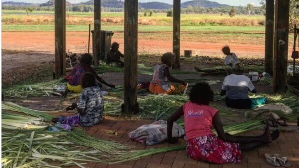 Ladies sit down stripping pandanus, before it will be dyed and woven into baskets.