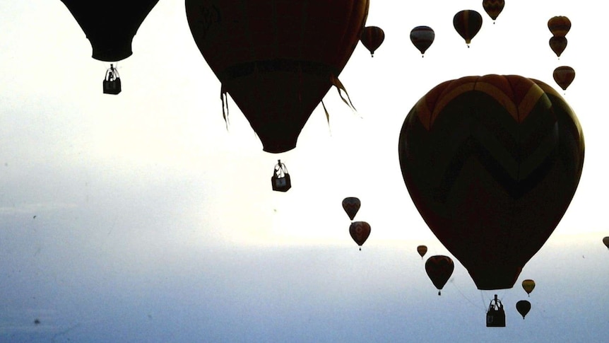 Nineteen hot air balloons silhouetted against the sky fly upwards over a tree line.