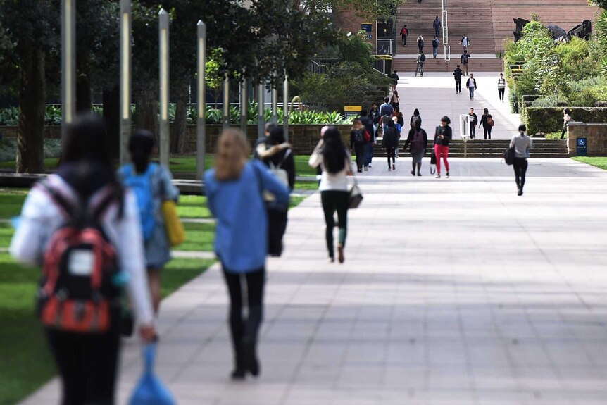 People walk through a university campus