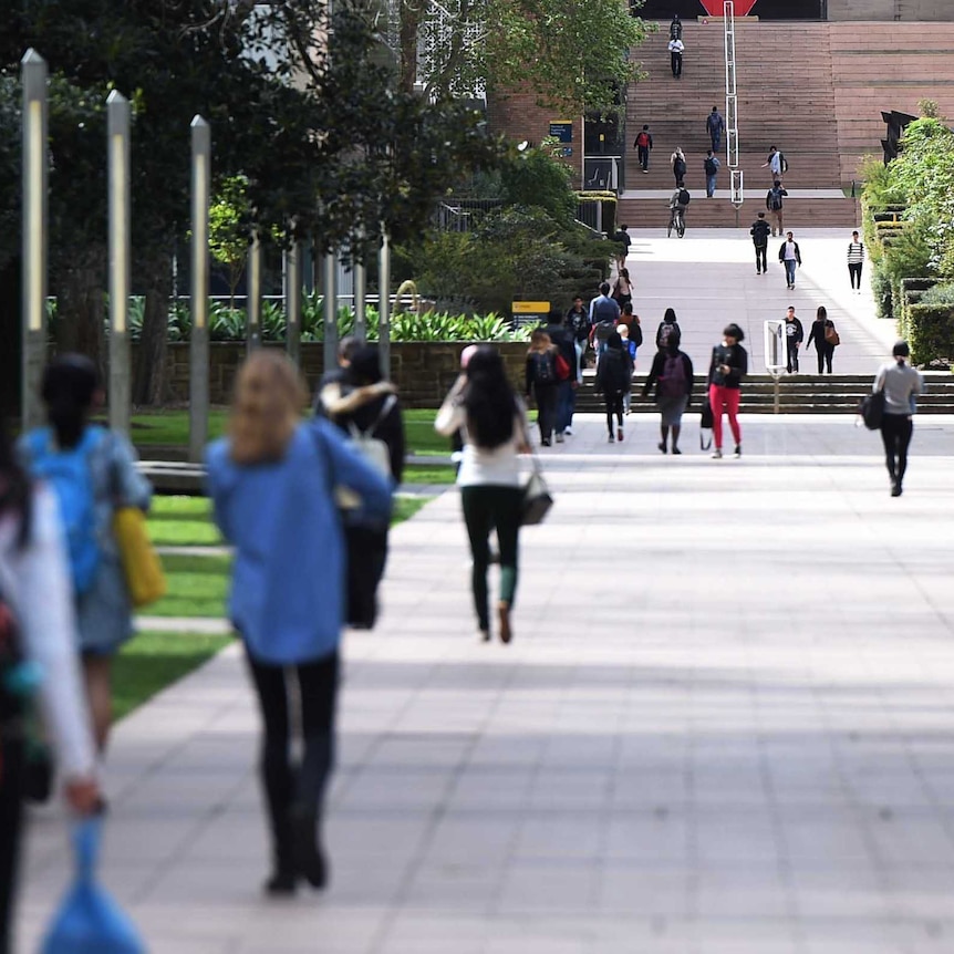 Students walk towards a staircase at a university