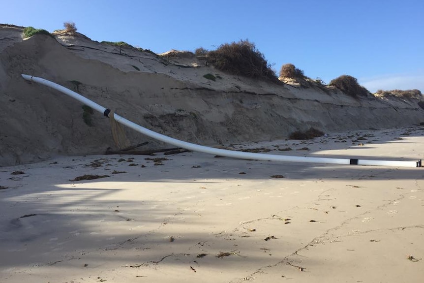Exposed sand piping at West Beach