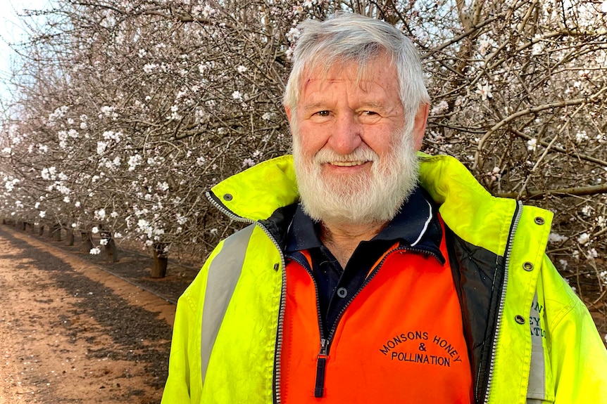 A man wearing a hi vis shirt and jacket stands in an almond orchard which is in blossom