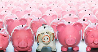 A white piggy bank sits in the centre of the image surrounded by rows and rows of pink piggy banks.