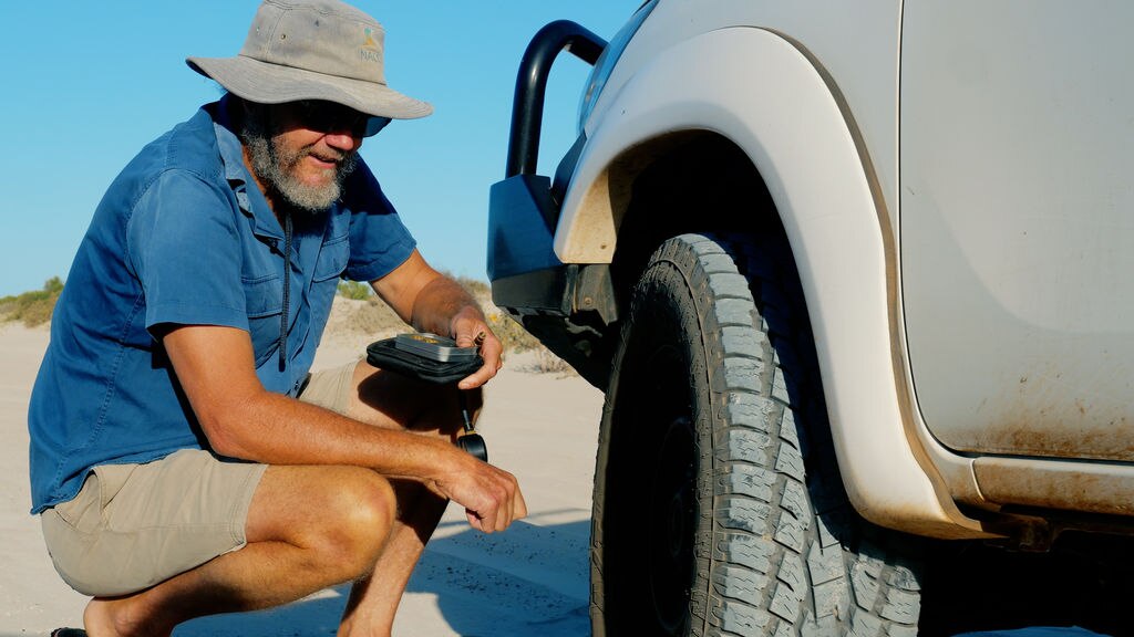 Dr Payne says deflated tyres allows a bit of flotation that helps lift ...