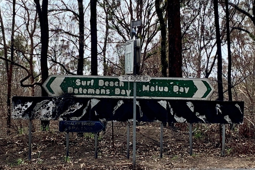 burnt street signs and blackened trees after bushfire