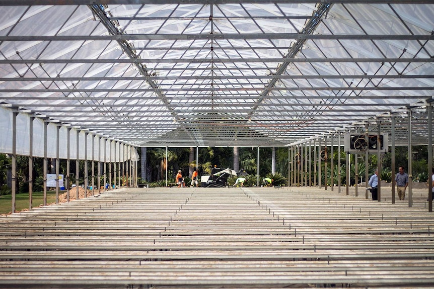 A greenhouse being constructed for the headquarters of Medifarm in July 2017