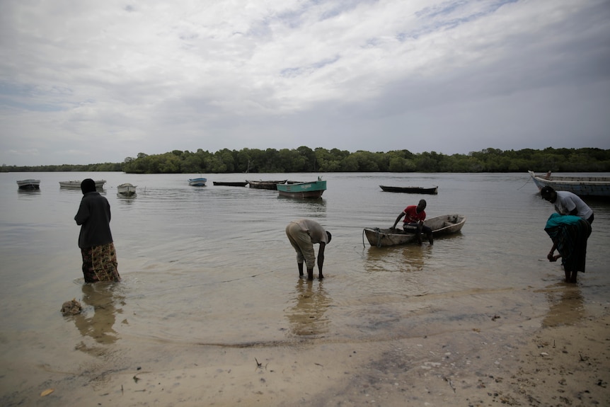 Quatre personnes debout près de bateaux dans un plan d'eau devant une mangrove.