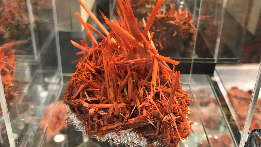 A spiky deposit of crocoite in a perspex case