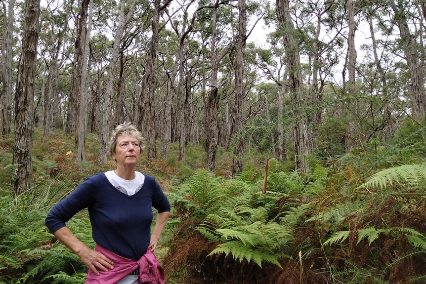 A woman standing with her hands on her hips in a forest