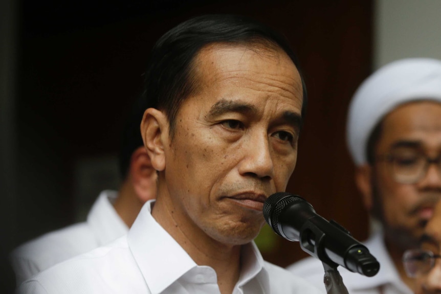 Indonesian President Joko Widodo speaks to journalists.