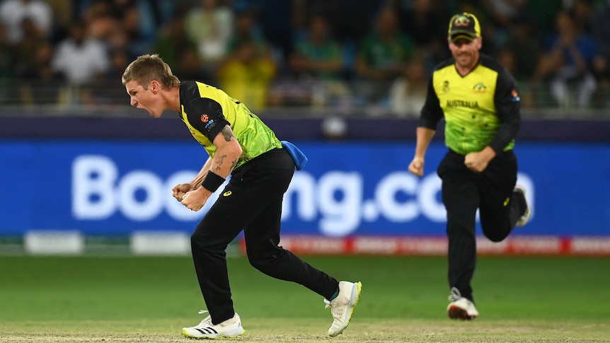 An Australian bowler celebrates taking a wicket at the men's T20 World Cup.