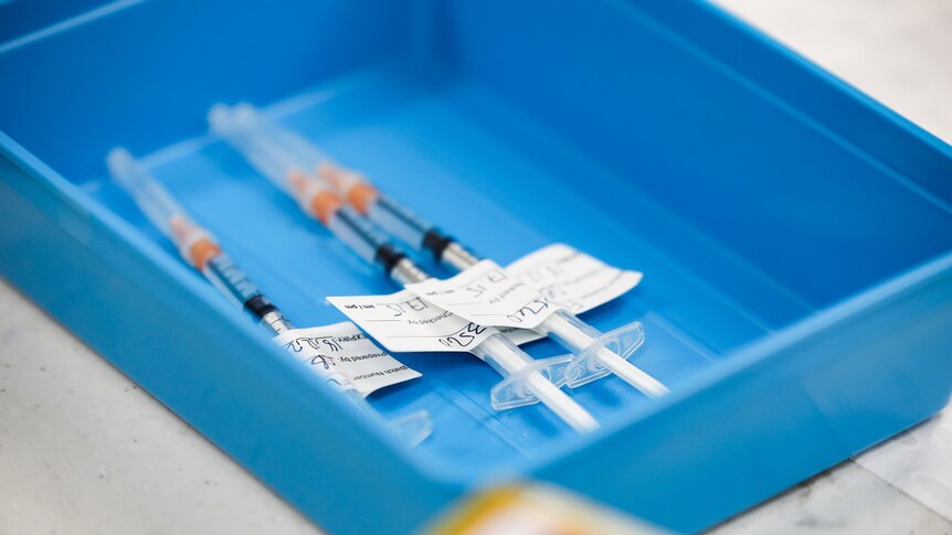 Syringes sit in a tray.