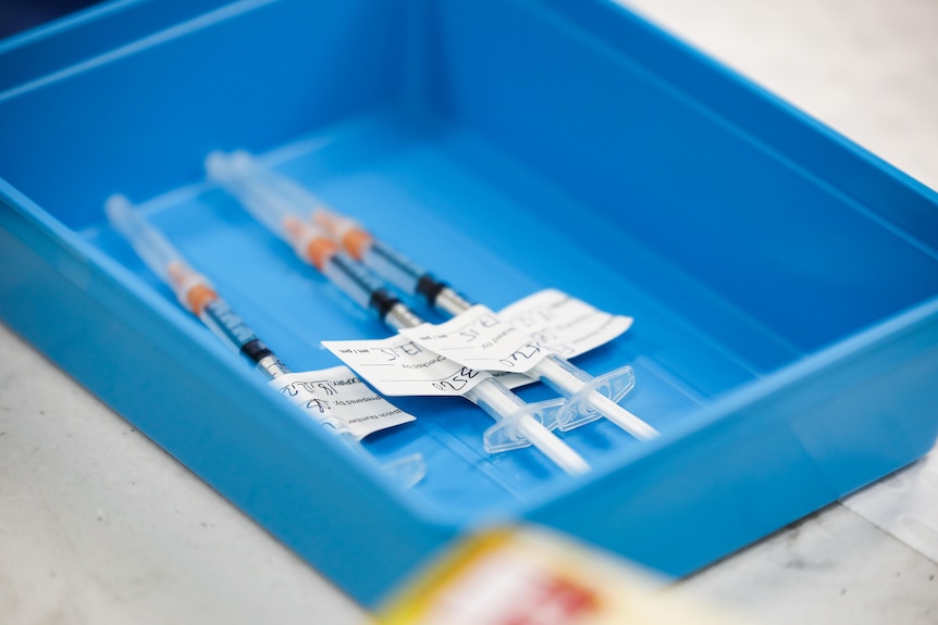 Syringes sit in a tray.