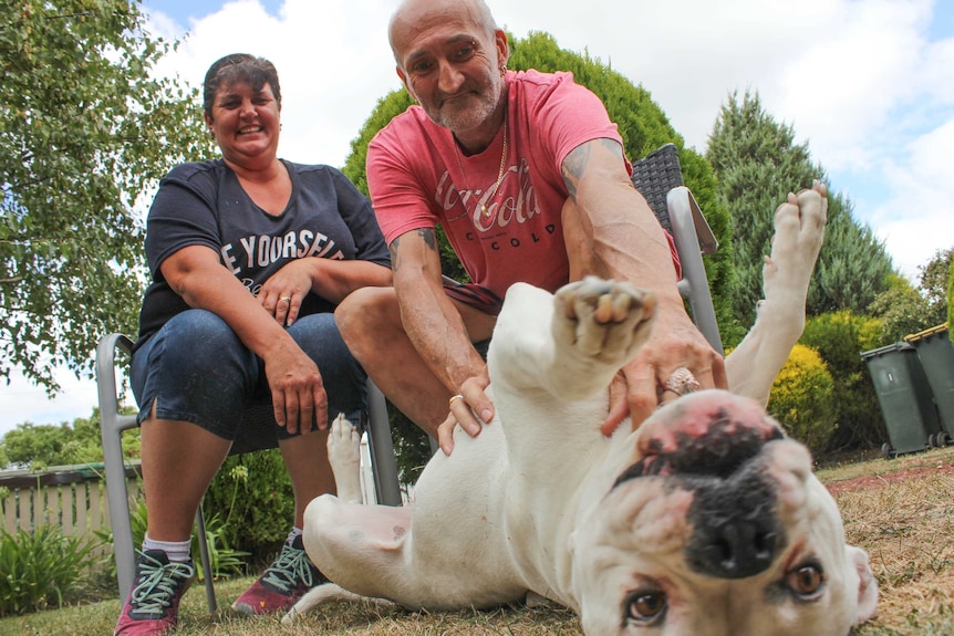 Christie and Devon Warren patting a white dog