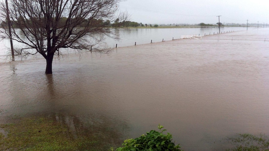 Floodwaters at Giru.