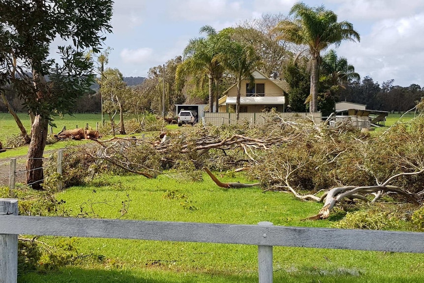 Tree branches lie in a field on a rural property.