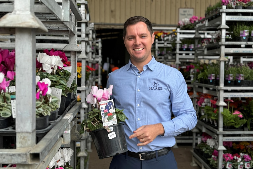 A man wearing a long-sleeved business shirt holds a small pot of pink flowers surrounded by racks of flowers.