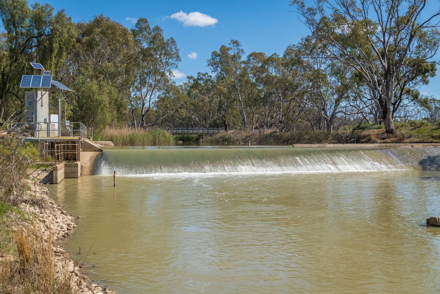 Water flows over a weir on a sunny day. There are green trees in the background.