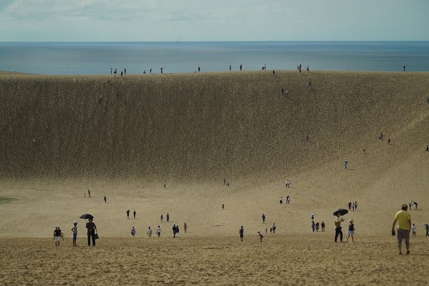 Dozens of tourists are seen at massive sand dunes along the coast of Japan.