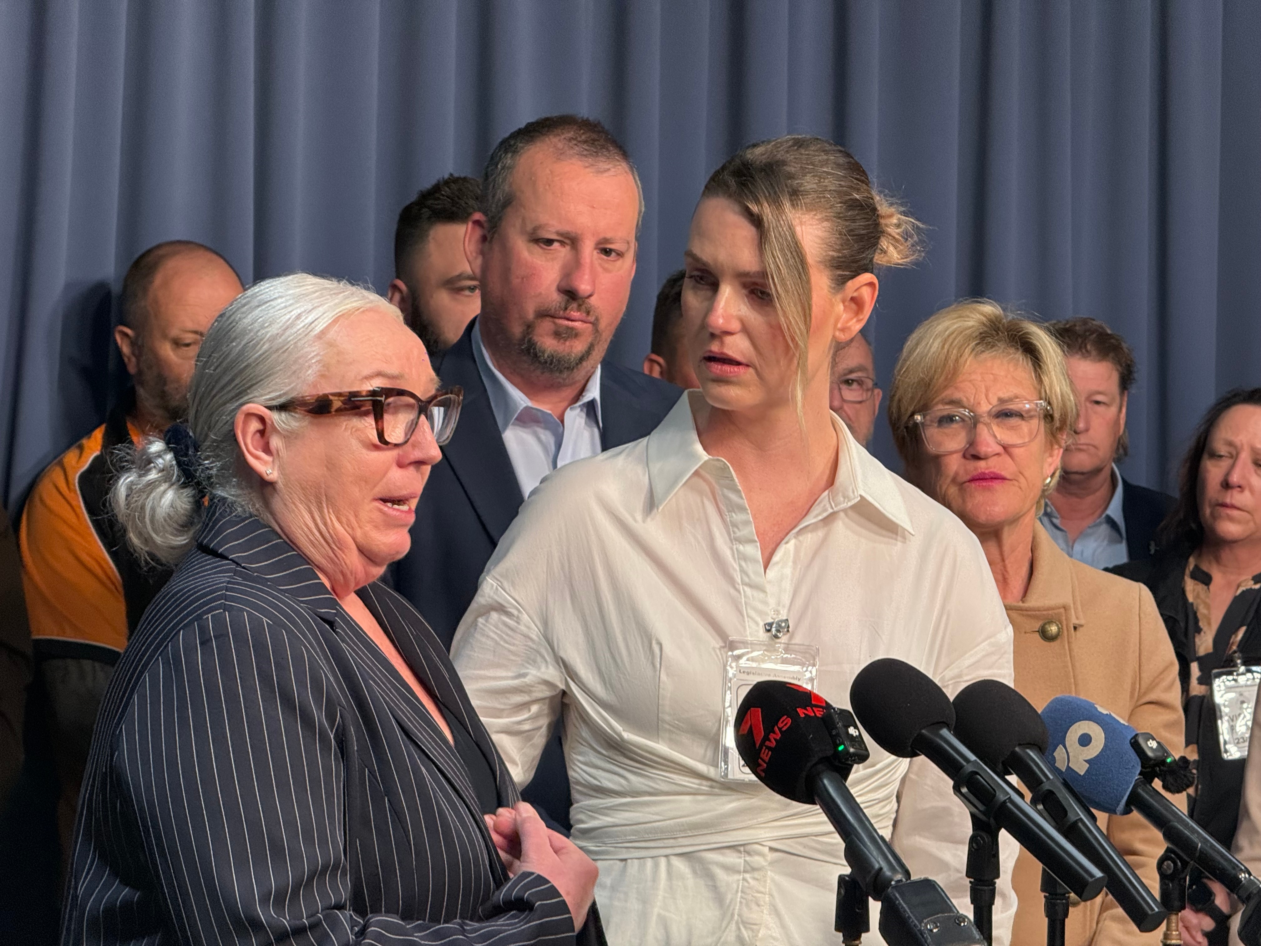 Firearms businesses struggling under Minns government's gun laws