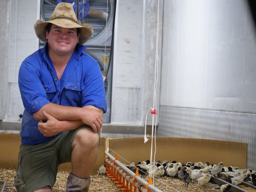 Cameron Ward kneels in a chicken shed with some chickens crowding behind him.