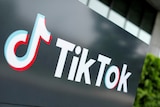 The TikTok musical note logo is displayed in white on a black wall.