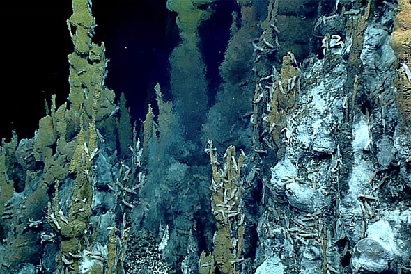 Hydrothermal vent chimney