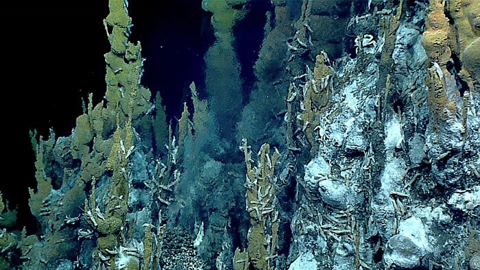 Hydrothermal vent chimney