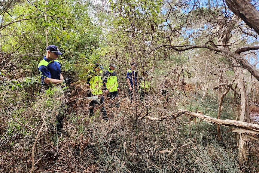 Five officers in high vis move through dense paper bark near a waterway