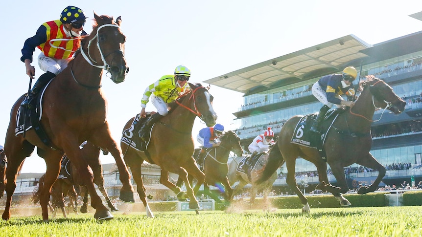 James McDonald on Nature Strip wins The Everest