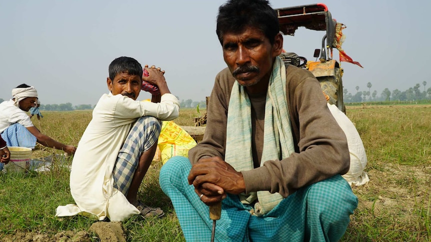 Three farmers in a field in the state of Bihar in India's north.