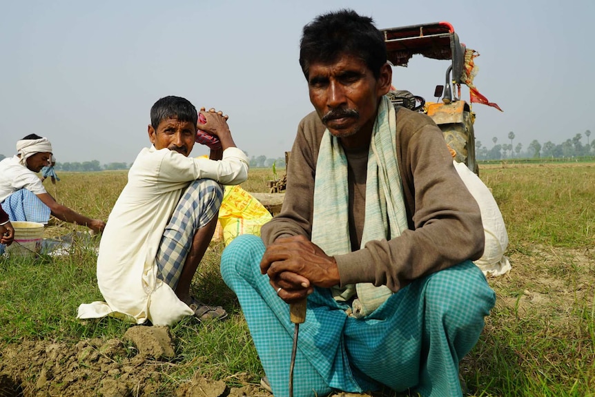 Three farmers in a field in the state of Bihar in India's north.