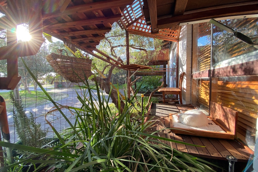 An outdoor cat enclosure with a white cat asleep on a deck.