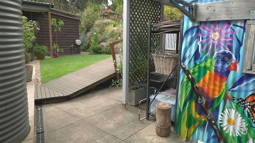 A garden with a mural of a lorikeet painted on a shed wall.