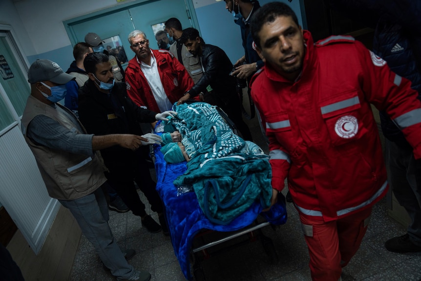 Medics prepare premature babies for transport to Egypt after they were evacuated from hosptal in Gaza City