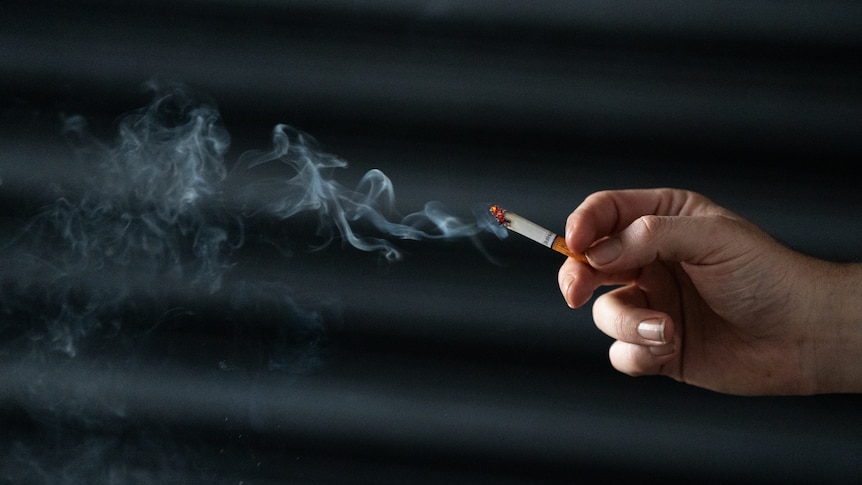 what city smokes the most cigarettes How Many You're Indirectly Smoking Due to World Pollution Levels Mapped what city smokes the most