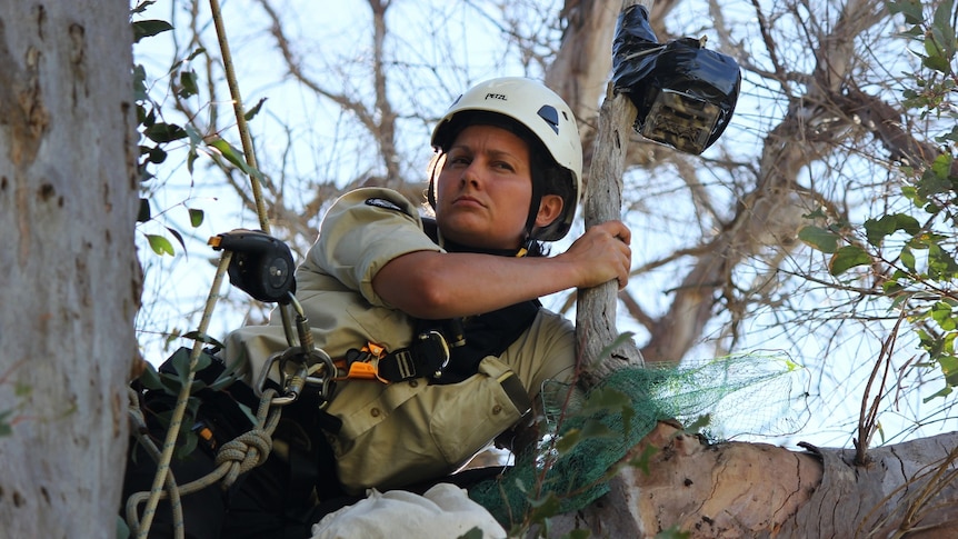 Laura Rayner in a tree.