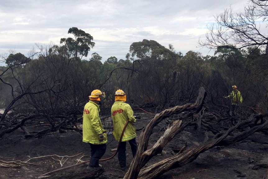 MFB firefighters blacking out hotspots on the fire ground.