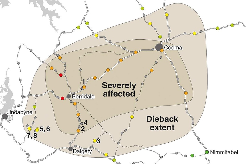 Map of Monaro Plains dieback area