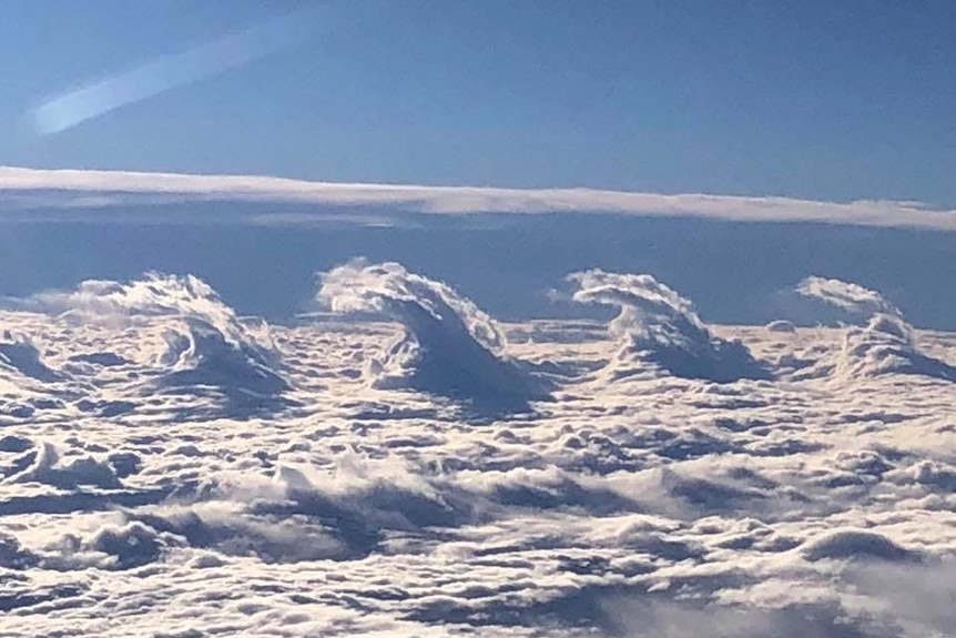 Four large waves of cloud curl from a dense white base in a similar appearance to a breaking ocean wave