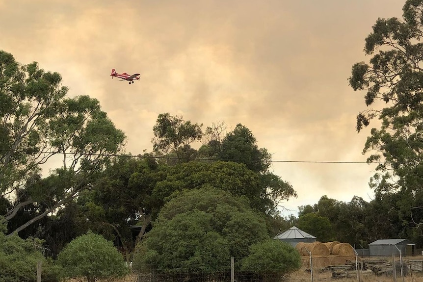 A CFS water bomber flies over a property near Lucindale, in SA's south east, with thick black smoke in the sky from a bushfire.