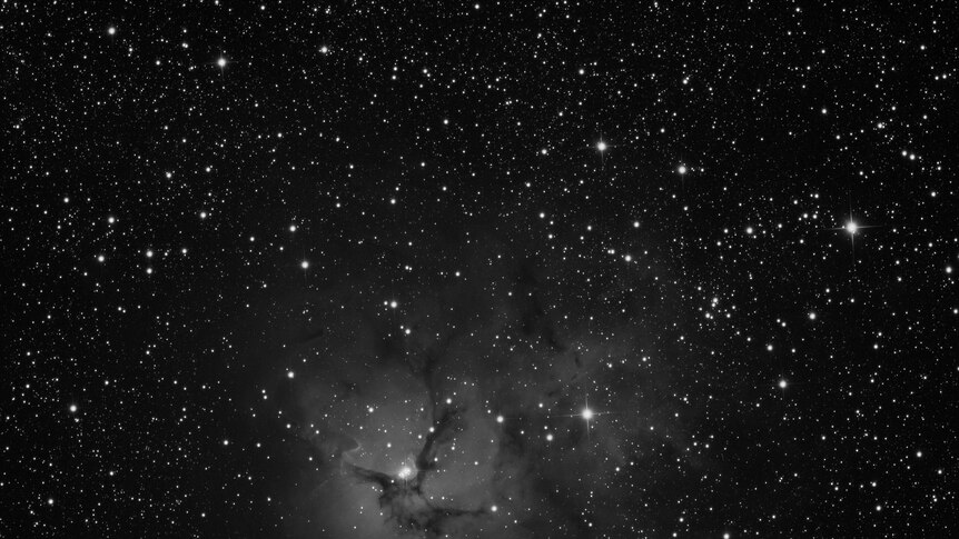 The M20 Trifid Nebula, captured by a robotic telescope at the Dorothy Hill Observatory near Gympie.