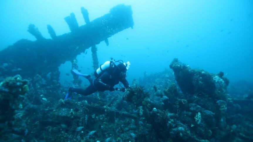 A diver swims alongside an old shipwreck that is covered in coral.