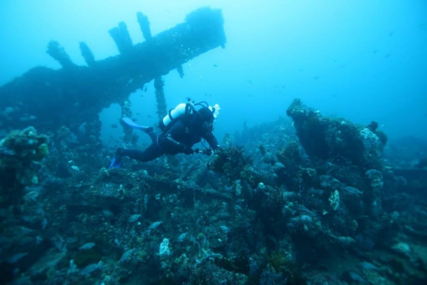 A diver swims alongside an old shipwreck that is covered in coral.