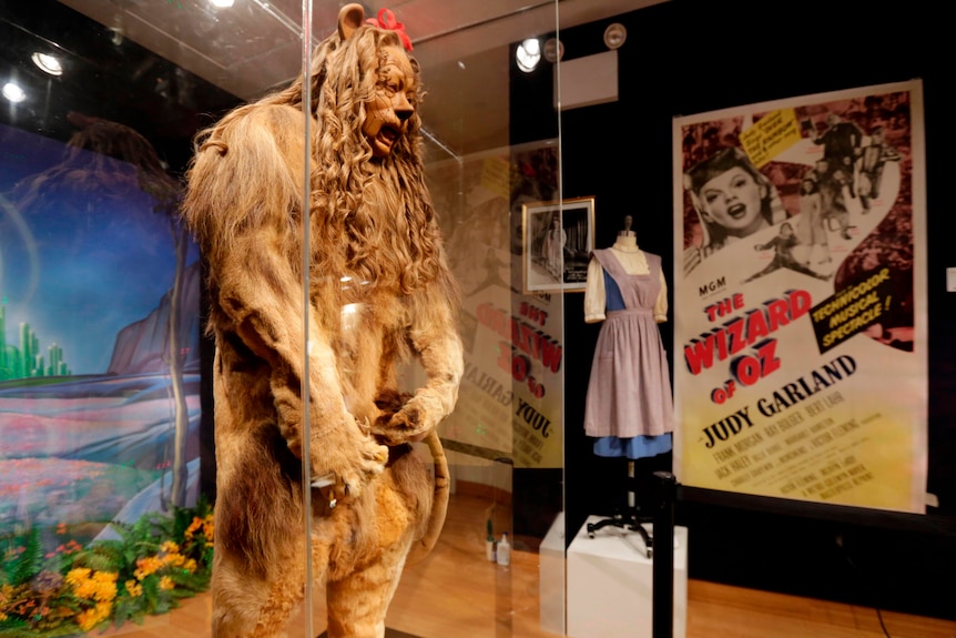A lion costume in a glass cabinet. 