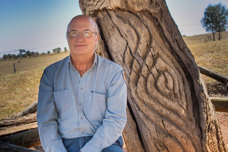 A man in a NPWS shirt in front of a carved tree trunk