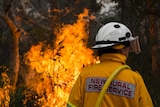 A firefighter looks on as teams fight blazes